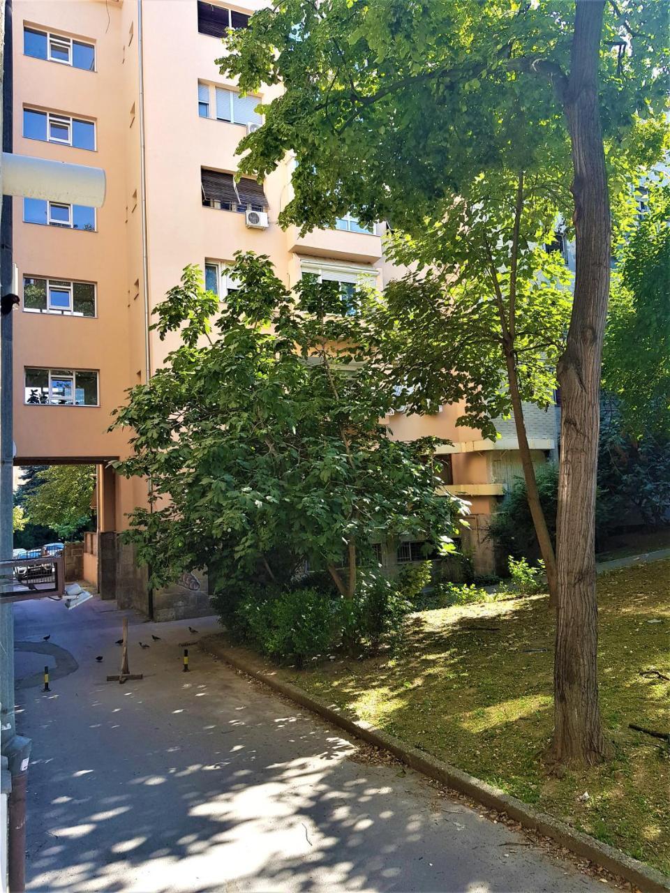 Asya Blue Apartment Belgrade Luaran gambar